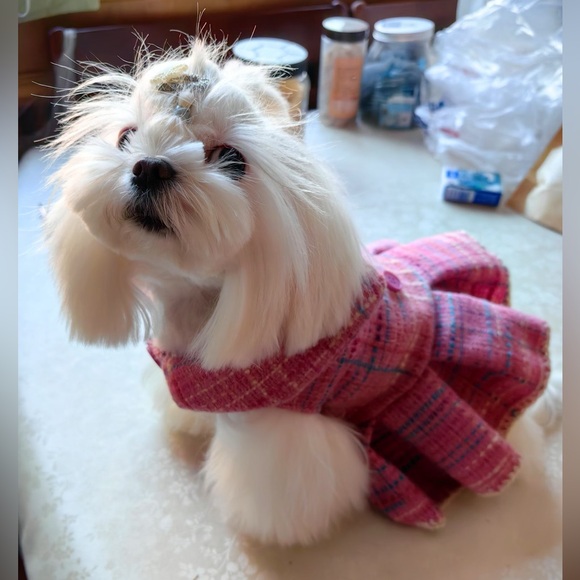 Meet your Posher, Qian - Picture 3 of 3